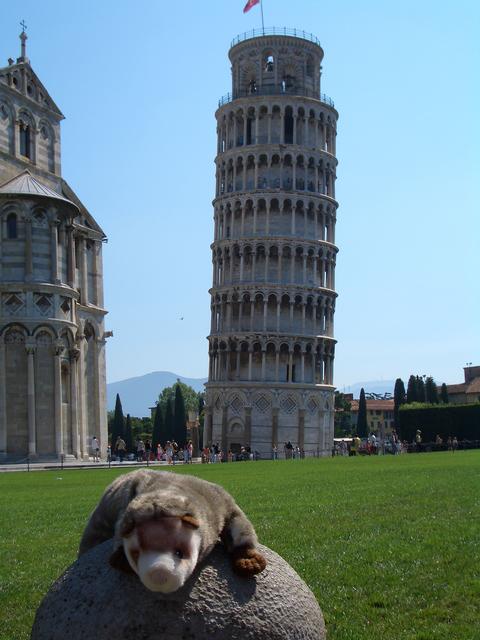 aal.jpg